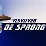Viswedstrijd De Sprong Rijkevoort
